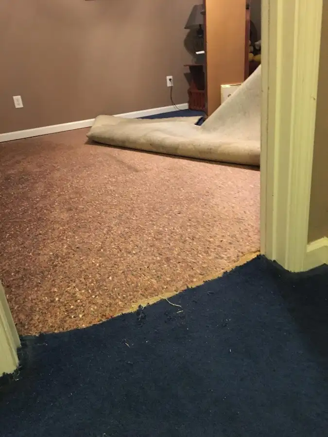 Carpet pad removal revealing water damage during Water Mitigation Services in Rome